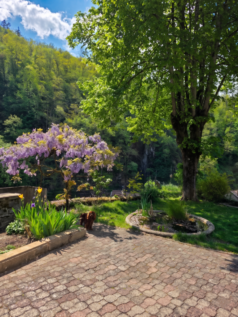 Jardin chambre d'hôtes Thiers